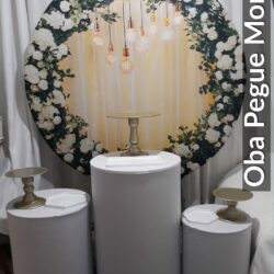 Tema pegue e monte floral luzes